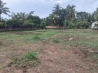 A Valuable Land for Sale in Divulapitiya.