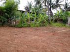 A Valuable Land for Sale in Ja Ela