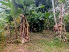 A Valuable Land for Sale in Mirigama