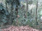 Valuable Land in Badulla