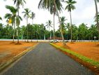 A valuable land in Giriulla Nalla