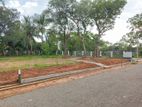 A Valuable Piece of Land for Sale in Tangalle