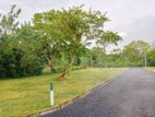 A Valuable Piece of Land in Tangalle