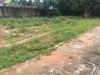 A Valuble Land for Sale in Seeduwa Kuruduwatta Amandoluwa