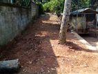 Land for Sale Matale