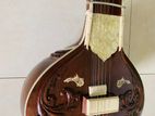 Sitar Instrument