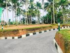 A wonderful land for sale in Panadura