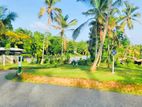 A wonderful land for sale in Panadura