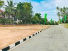 A Wonderful Land for Sale in Veyangoda