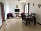 A11611 - On320 02 Rooms Apartment for Rent Colombo 2