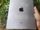 Apple iPad