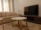 A39899 - Trizen 03 Rooms Furnished Apartment for Rent