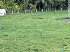 A6 Road Facing Lands Project Kurunegala