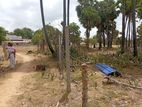A9 Land for Sale in Meesalai North