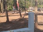 A9 Road Faceing Land for Sale in Mathale Nalanda