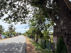 A9 Road Facing Land for Sale Ariyalai