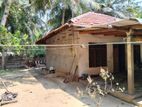 Land with House for Sale பளை தாம்பகாமம்