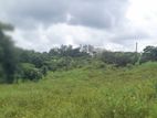 ආටිගල බටවල වෙලකට මායිම් ඉඩමක් විකිණීමට