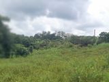 ආටිගල බටවල වෙලකට මායිම් ඉඩමක් විකිණීමට