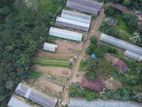 කදිම ඉඩමක් වැලිමඩින්