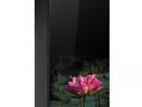 Abans 206L Lotus Charm Single Glass Door Inverter Refrigerator