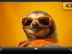 Abans 43" FHD LED TV