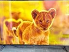 Abans 55 Size Smart TV