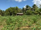 Abilipitiya 3 Ace Land For Sale