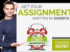Academic Assignment Assistance Service
