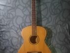 Acaustic Guitar