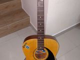 Accoustic Box Guitar