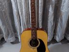 Accoustic Guitar