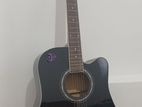 Accoustic Guitar