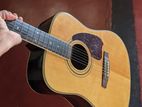 Accoustic Guitar