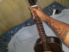 Accoustic Guitar