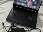 Acer Nitro 5 Ryzen Gaming Laptop