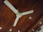 Acl Ceiling Fan