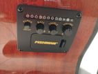 Acoustic bass guitar