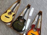 Acoustic Box Guitar