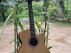 Acoustic Electric Guitar