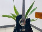 Acoustic Electric Guitar