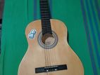 Acoustic Guitar Classical