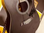 Acoustic Guitar ( Crusader)