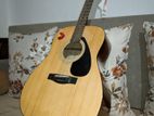 Acoustic Guitar - F 310