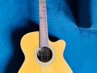 Acoustic Guitar F Cut