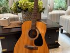 Acoustic Guitar