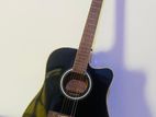 Acoustic Guitar