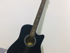 Acoustic Guitar