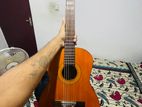 Acoustic Guitar