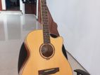 Acoustic Guitar